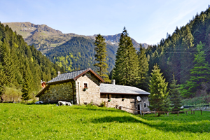 tetto baite di montagna