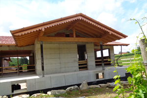 Realizzazione nuovo edificio uso agricolo